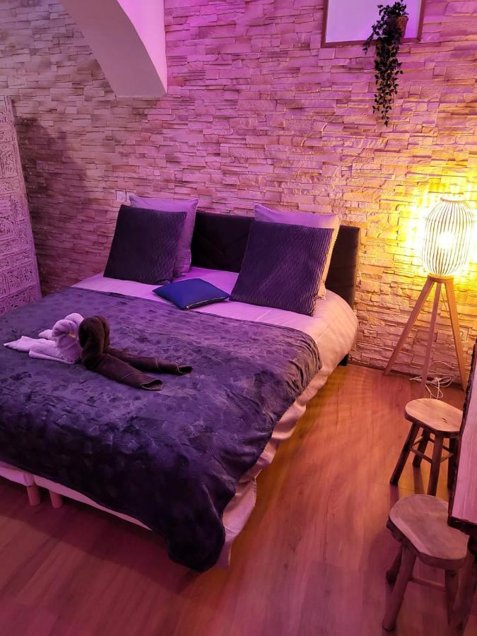 Le Spa De La Cathedrale - Jacuzzi - Sauna - Champagne - Netflix - Wifi Troyes Exterior foto