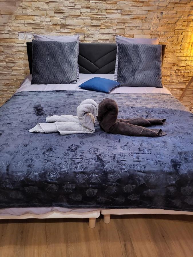 Le Spa De La Cathedrale - Jacuzzi - Sauna - Champagne - Netflix - Wifi Troyes Exterior foto